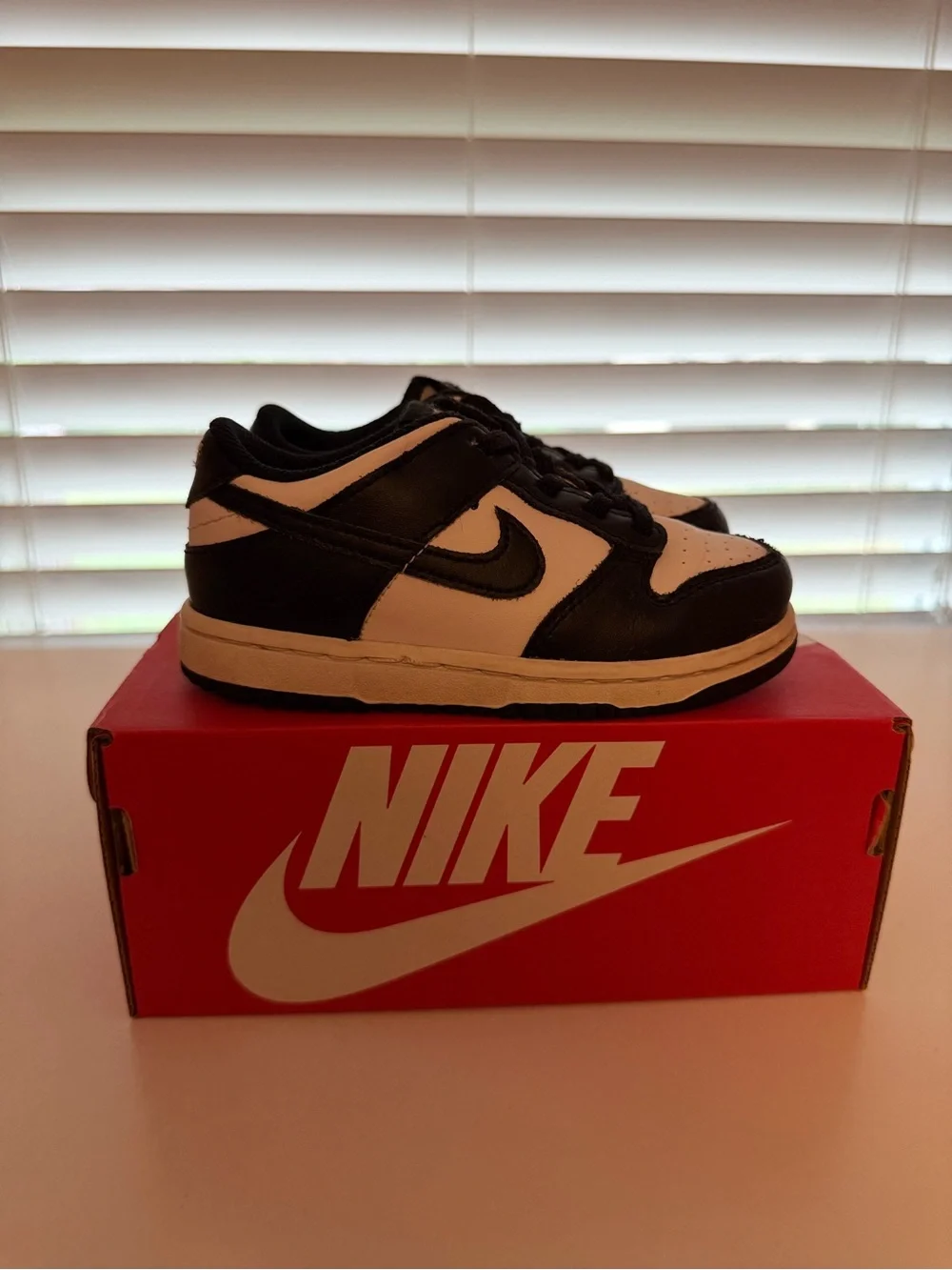 Nike Kids Black and White Low-Top Dunks